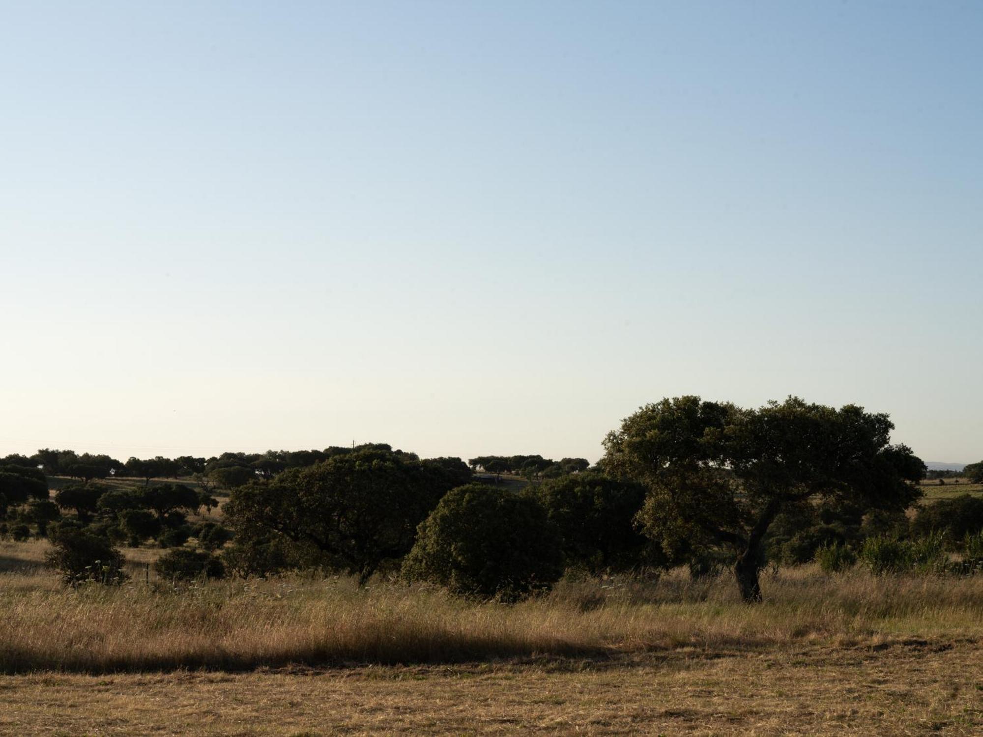 Change The World - Herdade Monte Do Peral Montes Juntos 외부 사진